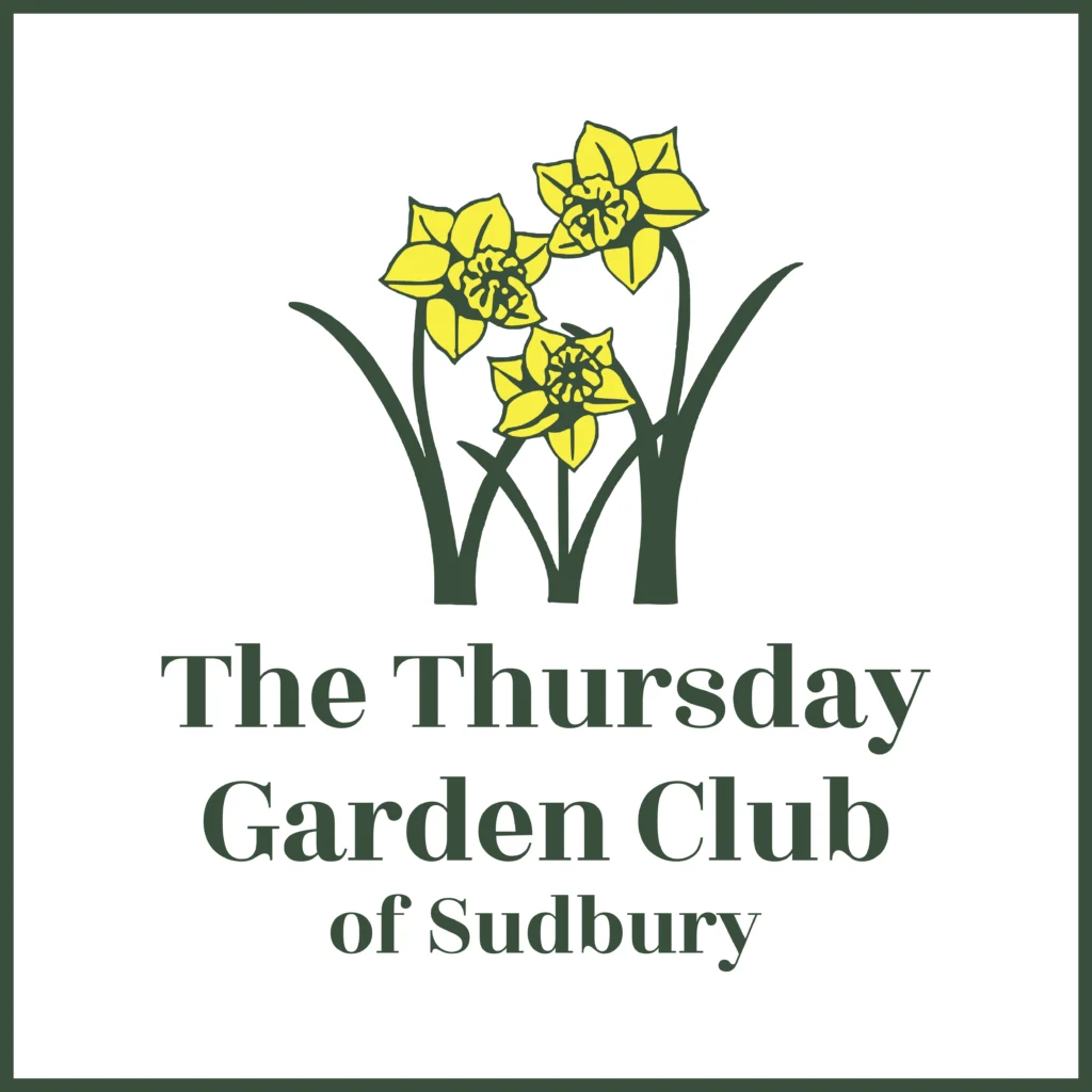 Raing Garden Page-Thursday Garden Club Logo